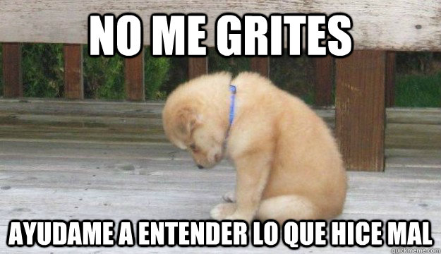 no me grites  ayudame a entender lo que hice mal  SORRY PUPPY