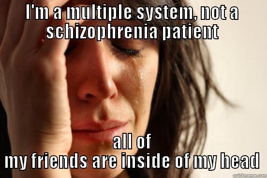 I'M A MULTIPLE SYSTEM, NOT A SCHIZOPHRENIA PATIENT ALL OF MY FRIENDS ARE INSIDE OF MY HEAD First World Problems