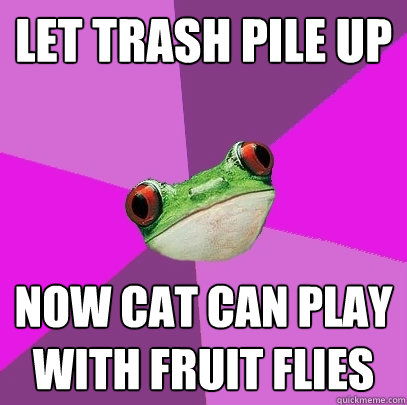 Let trash pile up now cat can play with fruit flies  Foul Bachelorette Frog