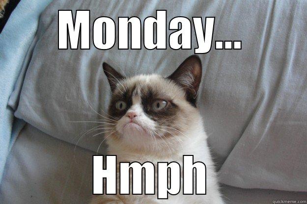 MONDAY... HMPH Grumpy Cat