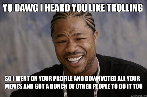 Yo dawg I heard you like trolling So I went on your profile and downvoted all your memes and got a bunch of other people to do it too  Xzibit meme