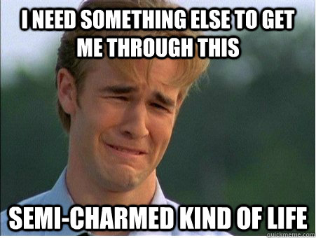 I need something else to get me through this semi-charmed kind of life  1990s Problems