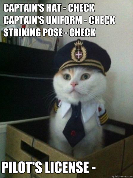 captain's hat - check
captain's uniform - check
striking pose - check pilot's license -   Captain kitteh