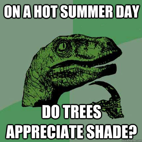 On a hot summer day Do trees appreciate shade?  Philosoraptor