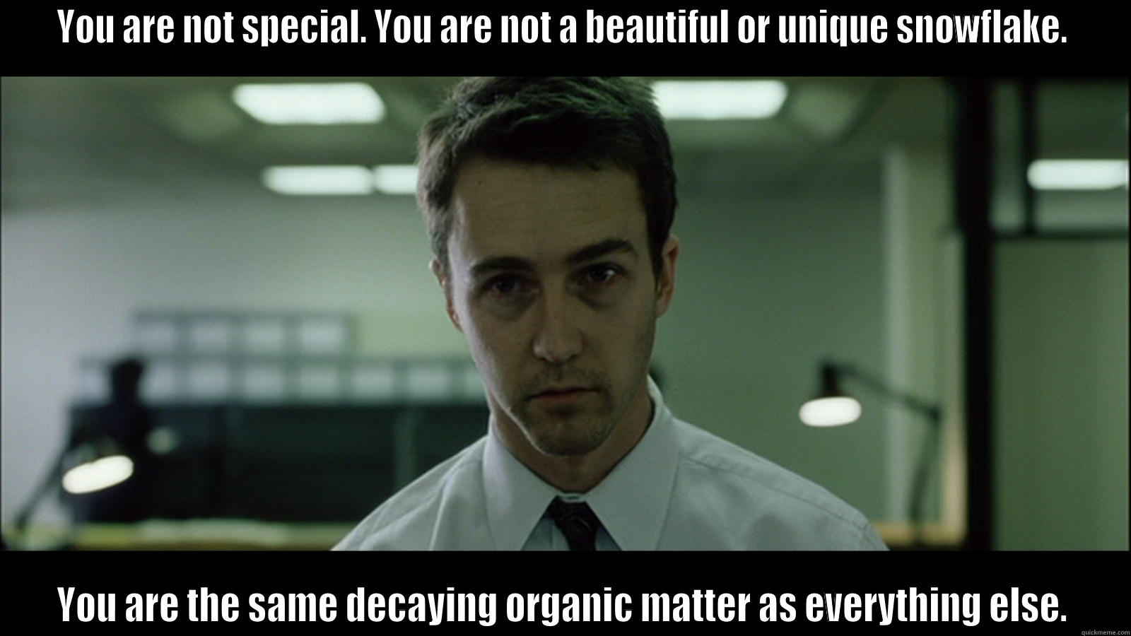YOU ARE NOT SPECIAL. YOU ARE NOT A BEAUTIFUL OR UNIQUE SNOWFLAKE. YOU ARE THE SAME DECAYING ORGANIC MATTER AS EVERYTHING ELSE. Misc