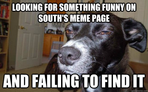Looking for something funny on south's meme page and failing to find it  Skeptical Mutt