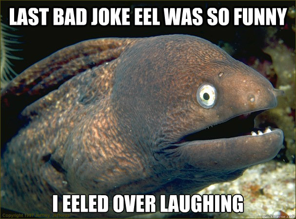 Last bad joke eel was so funny I eeled over laughing  Bad Joke Eel