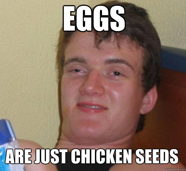 eggs are just chicken seeds  ten guy