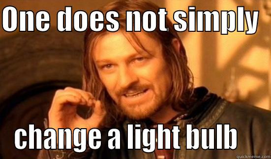ONE DOES NOT SIMPLY   CHANGE A LIGHT BULB    Boromir