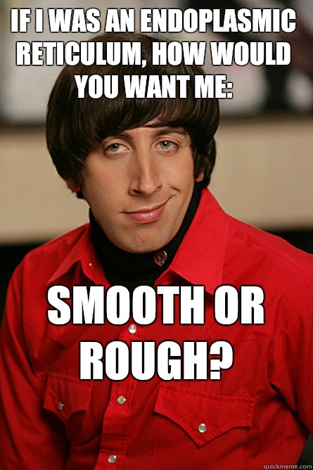 If I was an endoplasmic reticulum, how would you want me:  smooth or rough?  Pickup Line Scientist