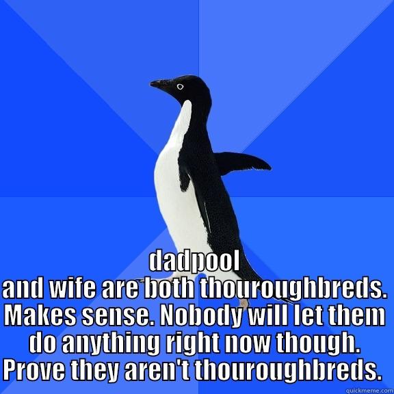  DADPOOL AND WIFE ARE BOTH THOUROUGHBREDS. MAKES SENSE. NOBODY WILL LET THEM DO ANYTHING RIGHT NOW THOUGH. PROVE THEY AREN'T THOUROUGHBREDS.  Socially Awkward Penguin