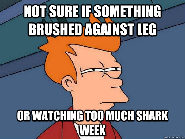 Not sure if something brushed against leg Or watching too much shark week  Futurama Fry