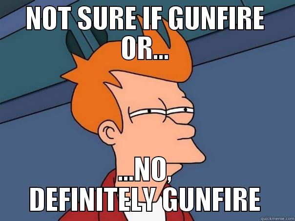 NOT SURE IF GUNFIRE OR... ...NO, DEFINITELY GUNFIRE Futurama Fry