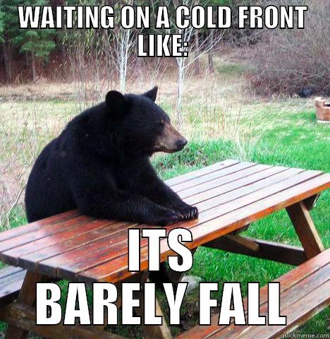 BARELY FALL - WAITING ON A COLD FRONT LIKE: ITS BARELY FALL waiting bear