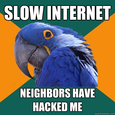 slow internet neighbors have hacked me  Paranoid Parrot