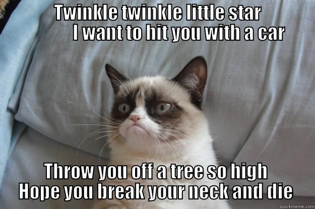                TWINKLE TWINKLE LITTLE STAR                            I WANT TO HIT YOU WITH A CAR THROW YOU OFF A TREE SO HIGH HOPE YOU BREAK YOUR NECK AND DIE Grumpy Cat