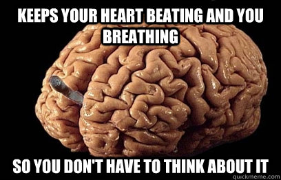 keeps your heart beating and you breathing  so you don't have to think about it  Good Guy Brain