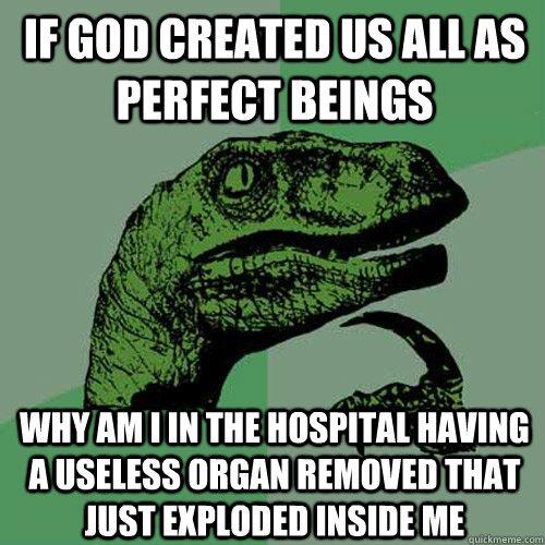 If god created us all as perfect beings why am i in the hospital having a useless organ removed that just exploded inside me - If god created us all as perfect beings why am i in the hospital having a useless organ removed that just exploded inside me  Philosoraptor
