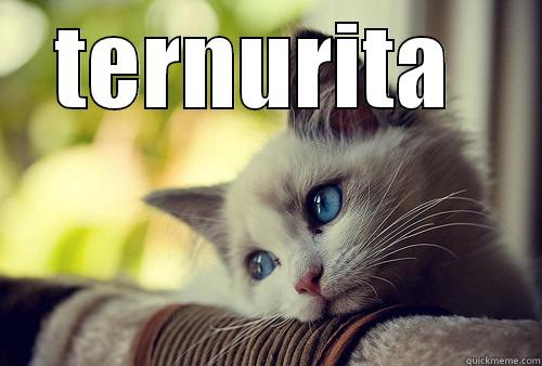 First World Problems Cat memes | quickmeme
