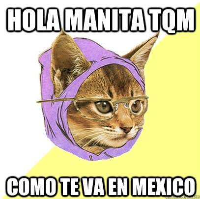 hola manita tqm como te va en mexico - hola manita tqm como te va en mexico  Hipster Kitty