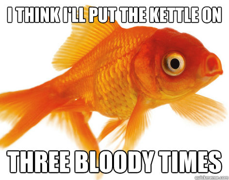 I think I'll put the kettle on three bloody times - I think I'll put the kettle on three bloody times  Forgetful Fish