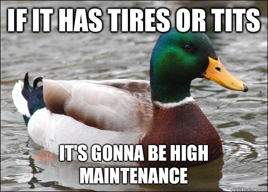 If it has tires or tits It's gonna be high maintenance  Actual Advice Mallard