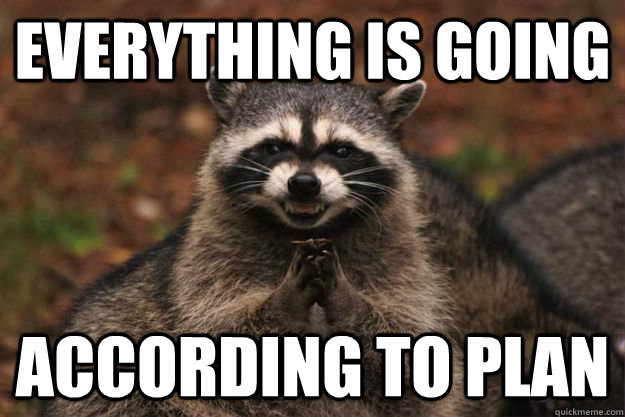 everything is going according to plan - everything is going according to plan  Evil Plotting Raccoon