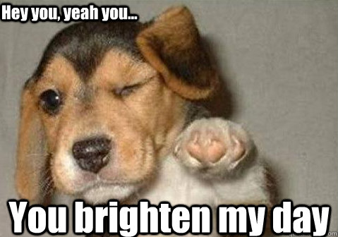 You brighten my day Hey you, yeah you... - You brighten my day Hey you, yeah you...  winking pointing puppy