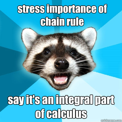 stress importance of chain rule say it's an integral part of calculus  Lame Pun Coon