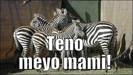 TENO MEYO MAMI! Misc
