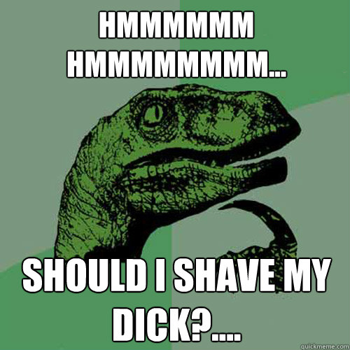 hmmmmmm   hmmmmmmmm... should i shave my dick?....  Philosoraptor