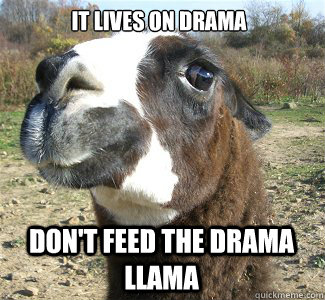 IT LIVES ON DRAMA DON'T FEED THE DRAMA LLAMA  Drama Llama