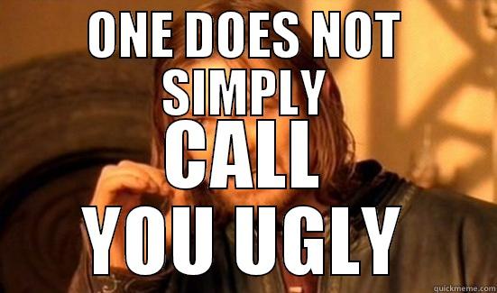 ONE DOES NOT SIMPLY CALL YOU UGLY Boromir