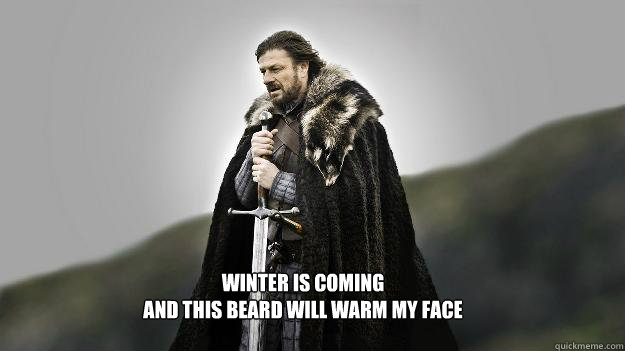 Winter is Coming
And This Beard Will Warm My Face  Ned stark winter is coming