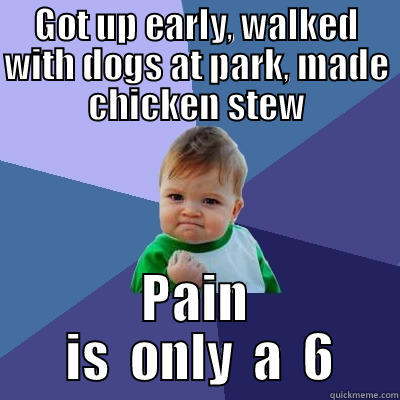GOT UP EARLY, WALKED WITH DOGS AT PARK, MADE CHICKEN STEW PAIN  IS  ONLY  A  6 Success Kid