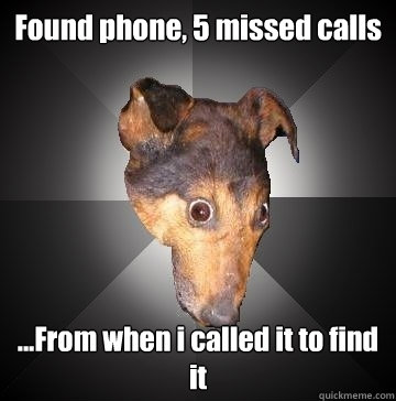 Found phone, 5 missed calls ...From when i called it to find it - Found phone, 5 missed calls ...From when i called it to find it  Depression Dog