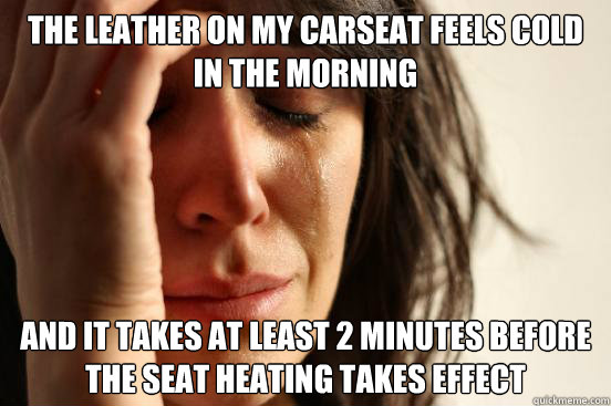 The leather on my carseat feels cold in the morning And it takes at least 2 minutes before the seat heating takes effect  First World Problems