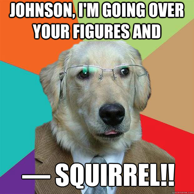 Johnson, I'm going over your figures and —­­­ SQUIRREL!!  Business Dog