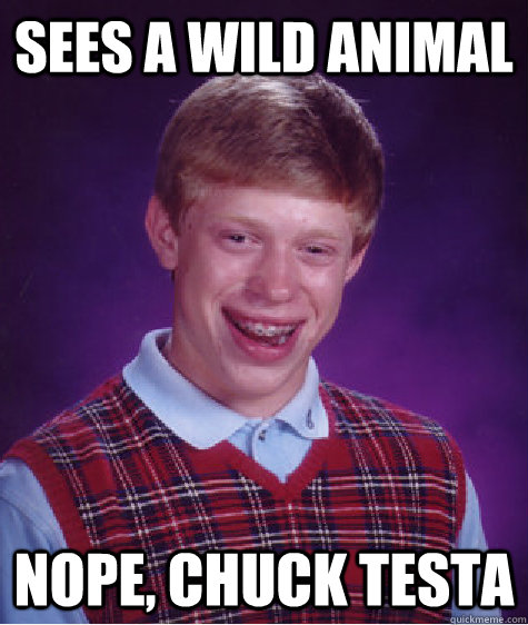 sees a wild animal nope, chuck testa - sees a wild animal nope, chuck testa  Bad Luck Brian