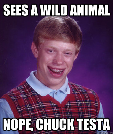 sees a wild animal nope, chuck testa  Bad Luck Brian