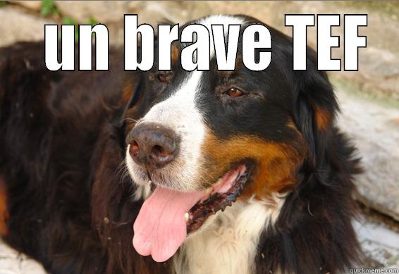   UN BRAVE TEF  Misc