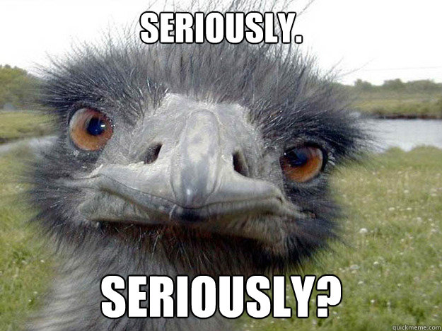 Seriously. seriously?  Seriously Bird