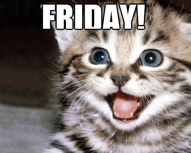 Friday! - Friday!  Unsucky kitten