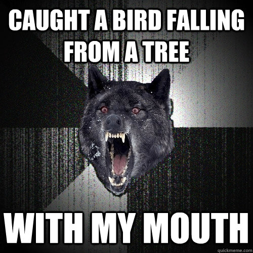 caught a bird falling from a tree with my mouth  Insanity Wolf