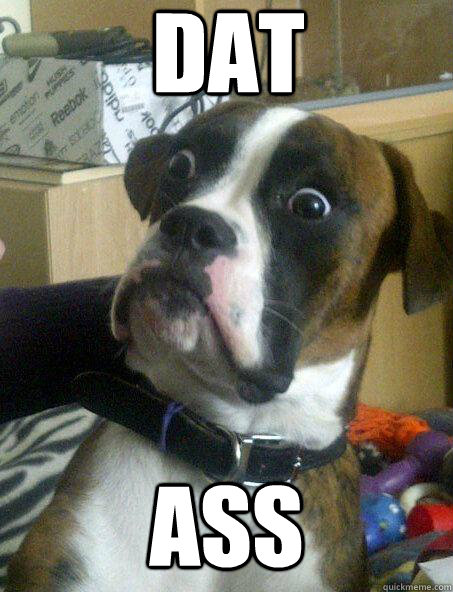 Dat Ass  Surprised Dog