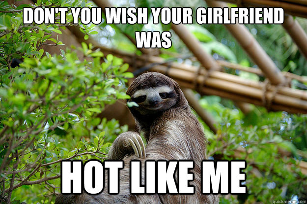 Don't you wish your girlfriend was Hot Like Me  Seductive Sloth