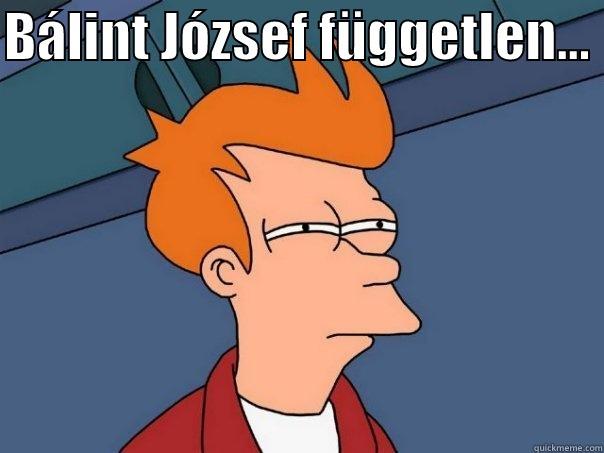BÁLINT JÓZSEF FÜGGETLEN...   Futurama Fry