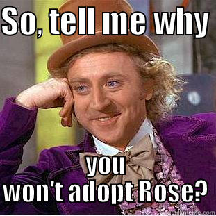 SO, TELL ME WHY  YOU WON'T ADOPT ROSE? Condescending Wonka