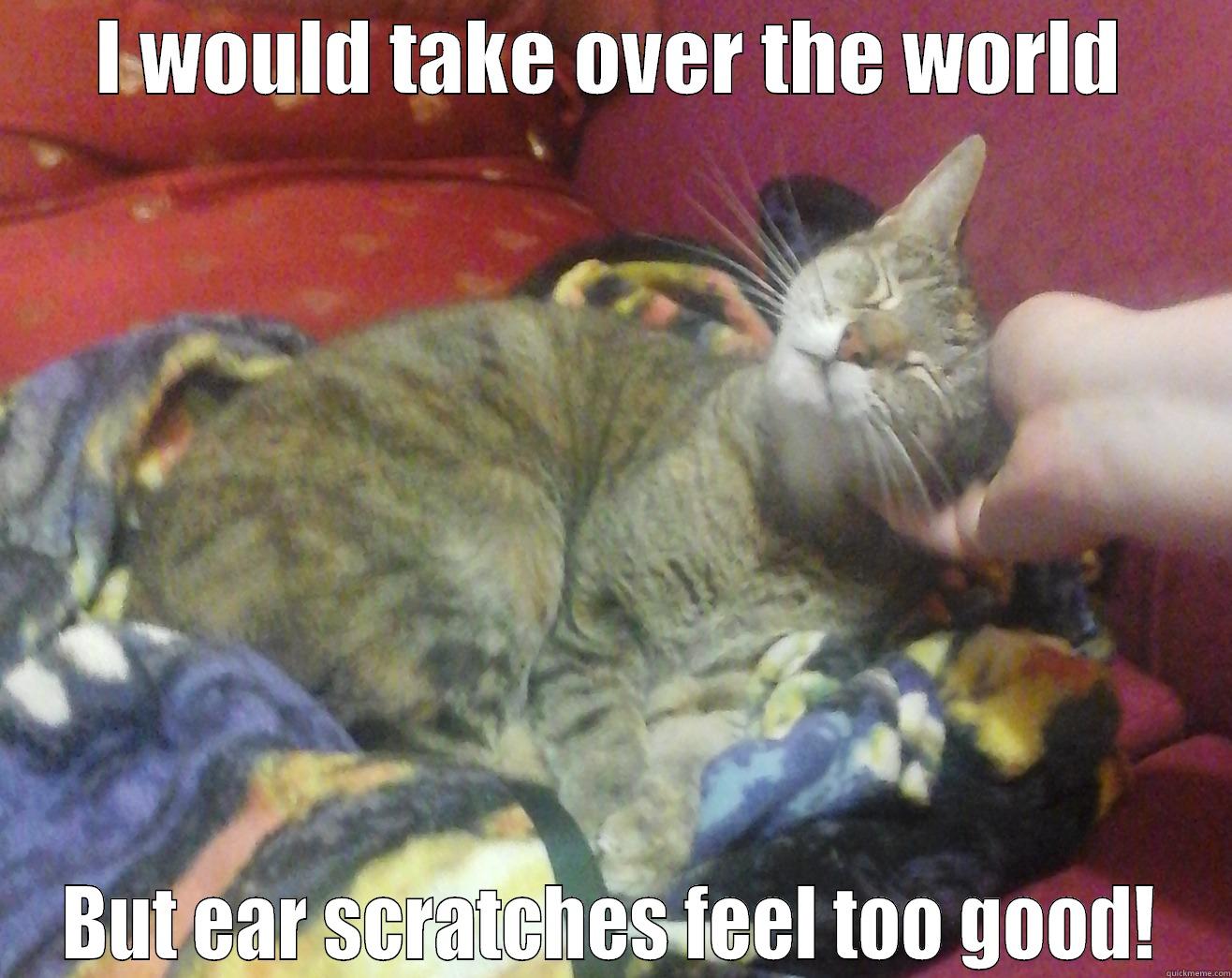 I WOULD TAKE OVER THE WORLD BUT EAR SCRATCHES FEEL TOO GOOD! Misc