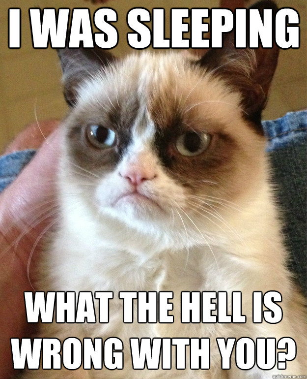 i was sleeping what the hell is wrong with you? - i was sleeping what the hell is wrong with you?  Grumpy Cat